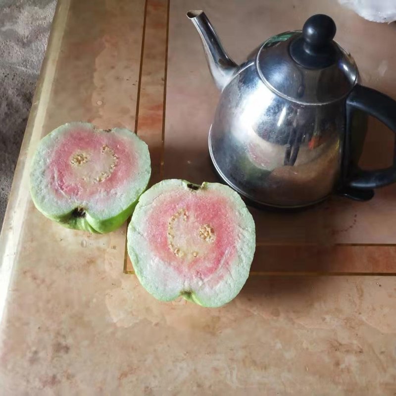 粉红蜜芭乐苗，红心番石榴苗
