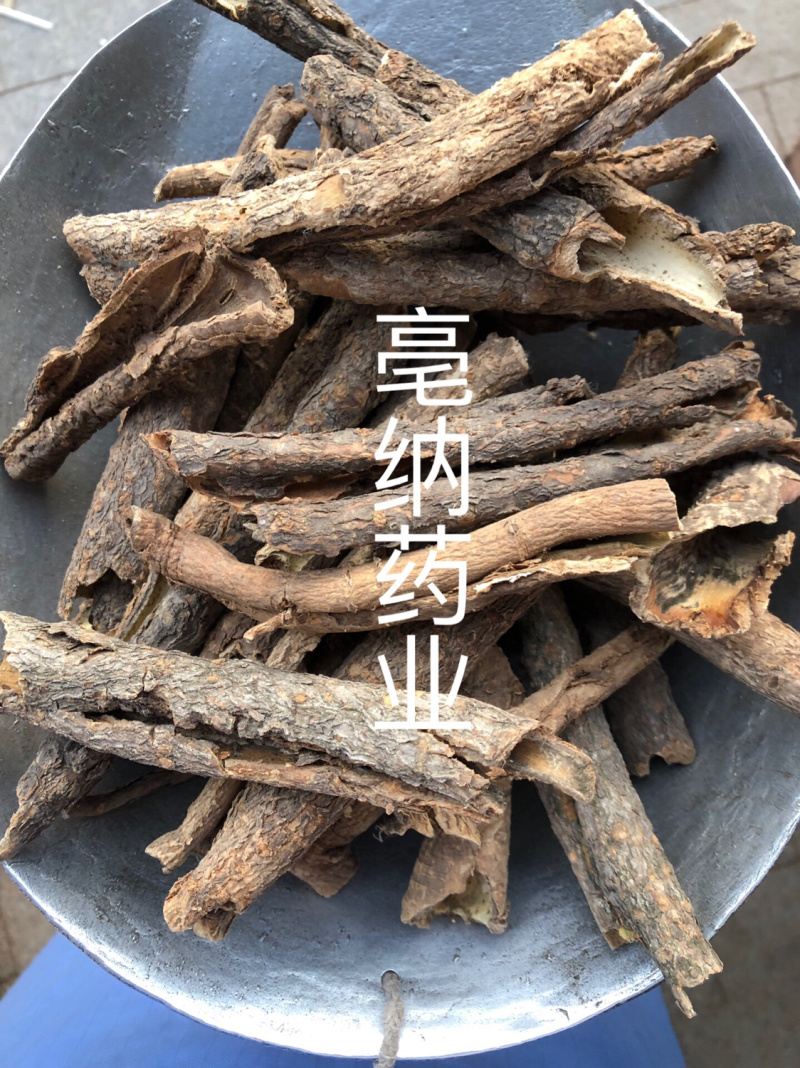 五加皮香五加皮一公斤起批