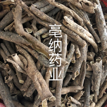 五加皮香五加皮一公斤起批
