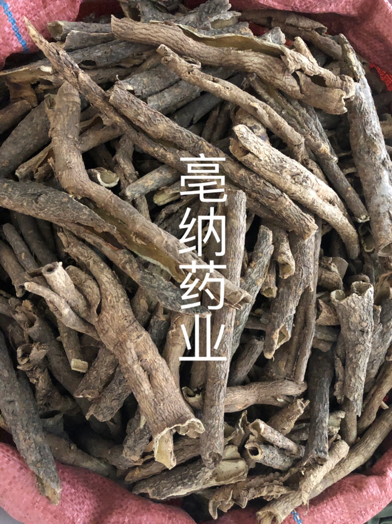 五加皮香五加皮一公斤起批