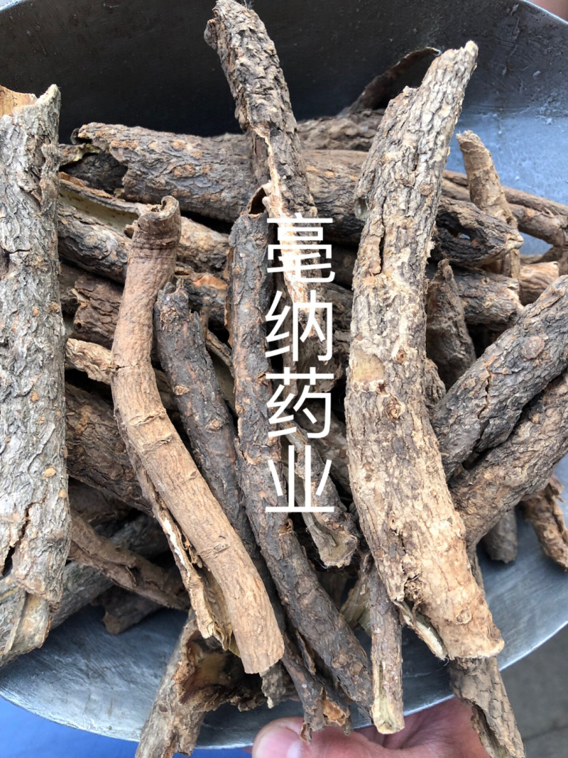 五加皮香五加皮一公斤起批