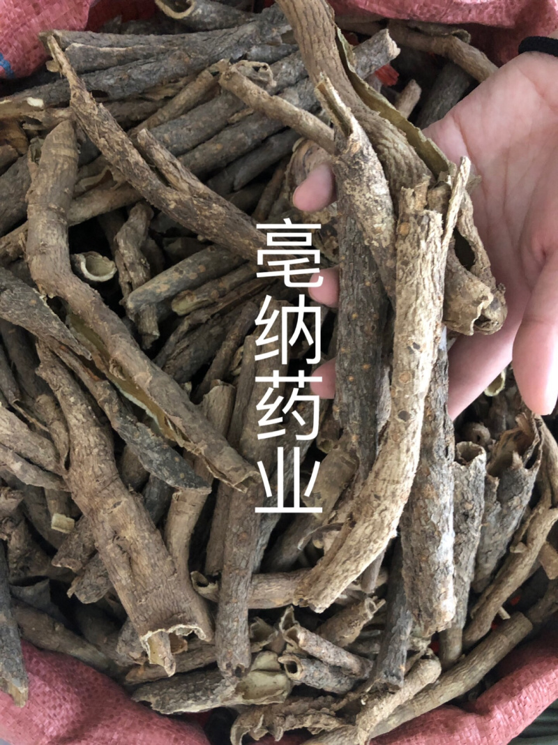 五加皮香五加皮一公斤起批