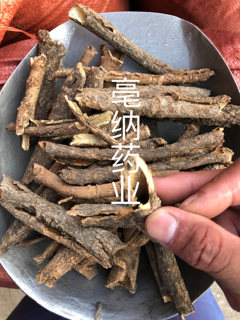 五加皮香五加皮一公斤起批