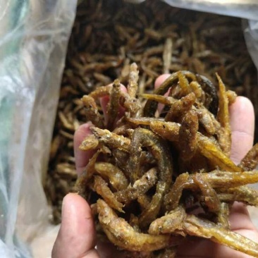 油炸小黄鱼小河鱼淡水无盐