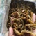 油炸小黄鱼小河鱼淡水无盐