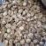 随州香菇3-4茶花菇产地直供出口品质整箱包邮