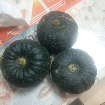 贝贝南瓜