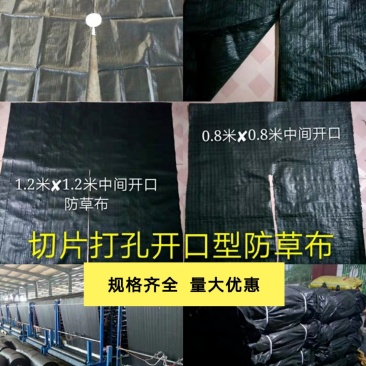 打孔防草布园艺地布除草保湿透气透水抗爆晒无毒气促高产