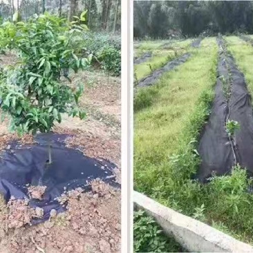 果园防草除草地布盖草布遮草布保用五年保湿透气透水