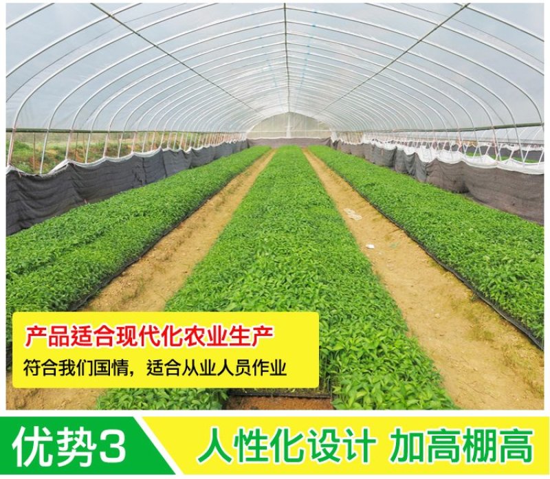 普通大棚镀锌钢管蔬菜大棚瓜果大棚大棚钢架钢管