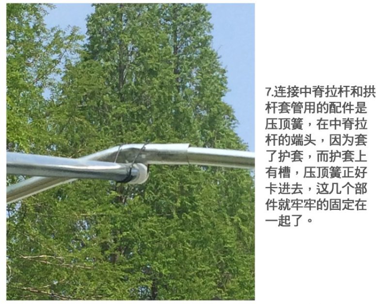 普通大棚镀锌钢管蔬菜大棚瓜果大棚大棚钢架钢管