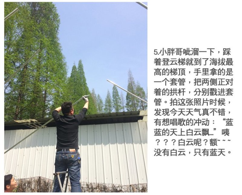 普通大棚镀锌钢管蔬菜大棚瓜果大棚大棚钢架钢管