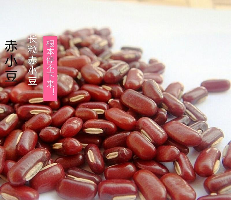 赤小豆长粒今年新货优质赤小豆一级散货5斤起批包邮
