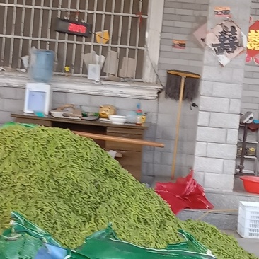 高干清毛豆