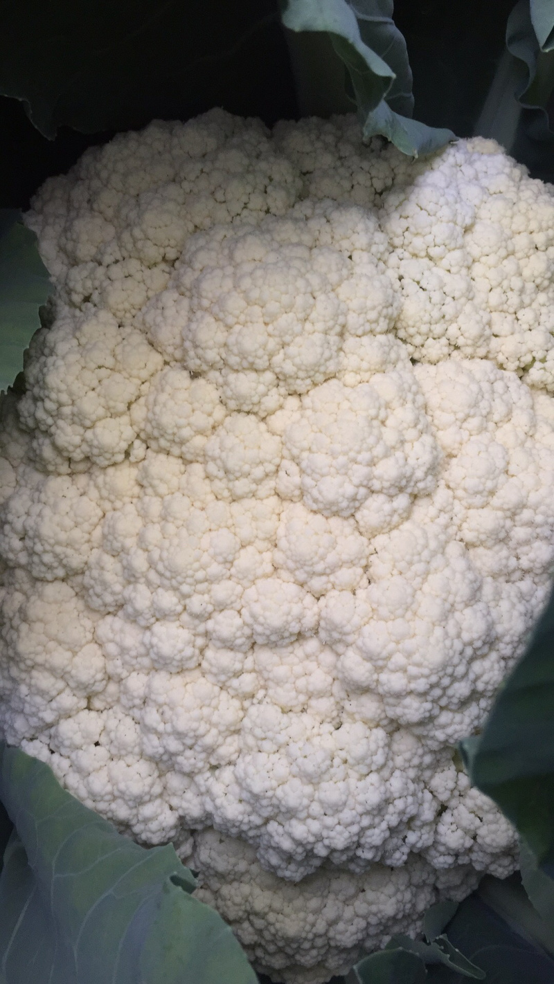 散花