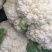散花