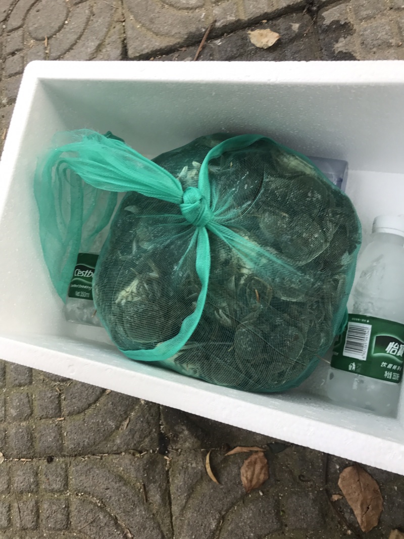 老头蟹大闸蟹产地直销