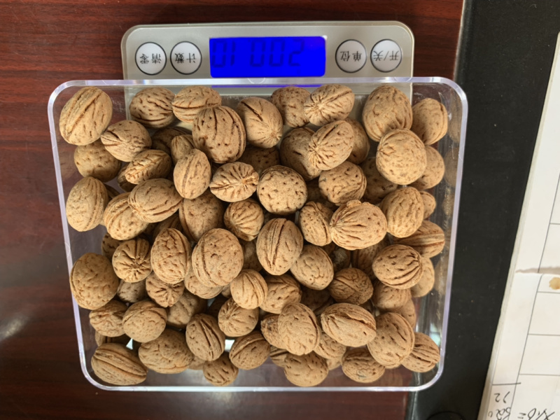 山桃核质量保证，欢迎采购，价格优惠，视频看货