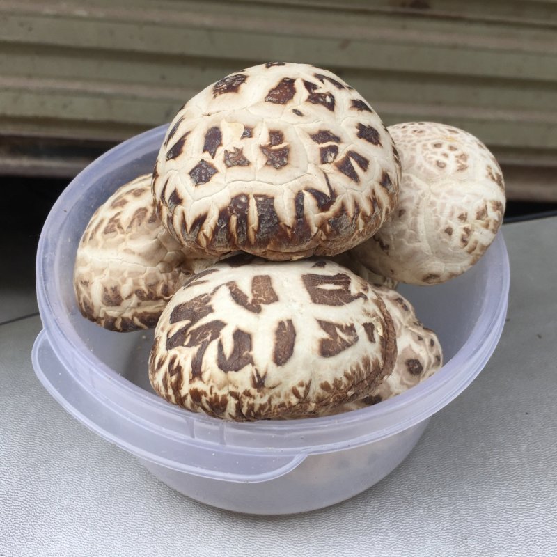 [一件代发]泌阳花菇干货干香菇批发冬菇蘑菇土特产