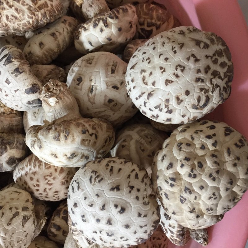 [一件代发]泌阳花菇干货干香菇批发冬菇蘑菇土特产