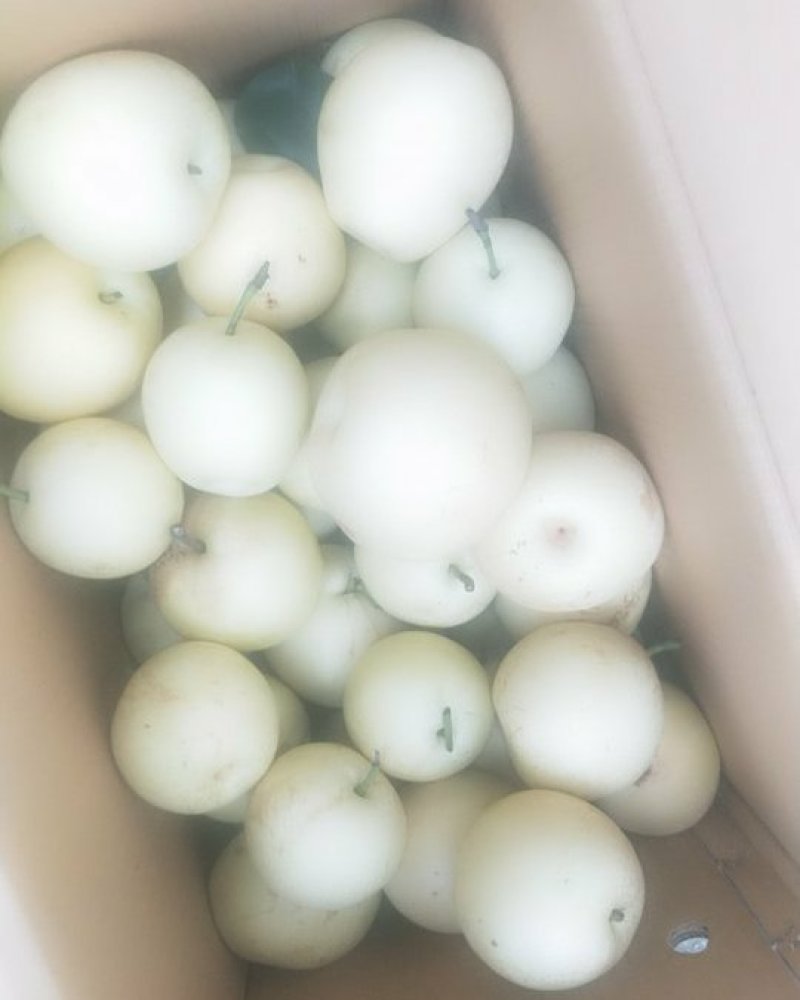 皇冠2级果