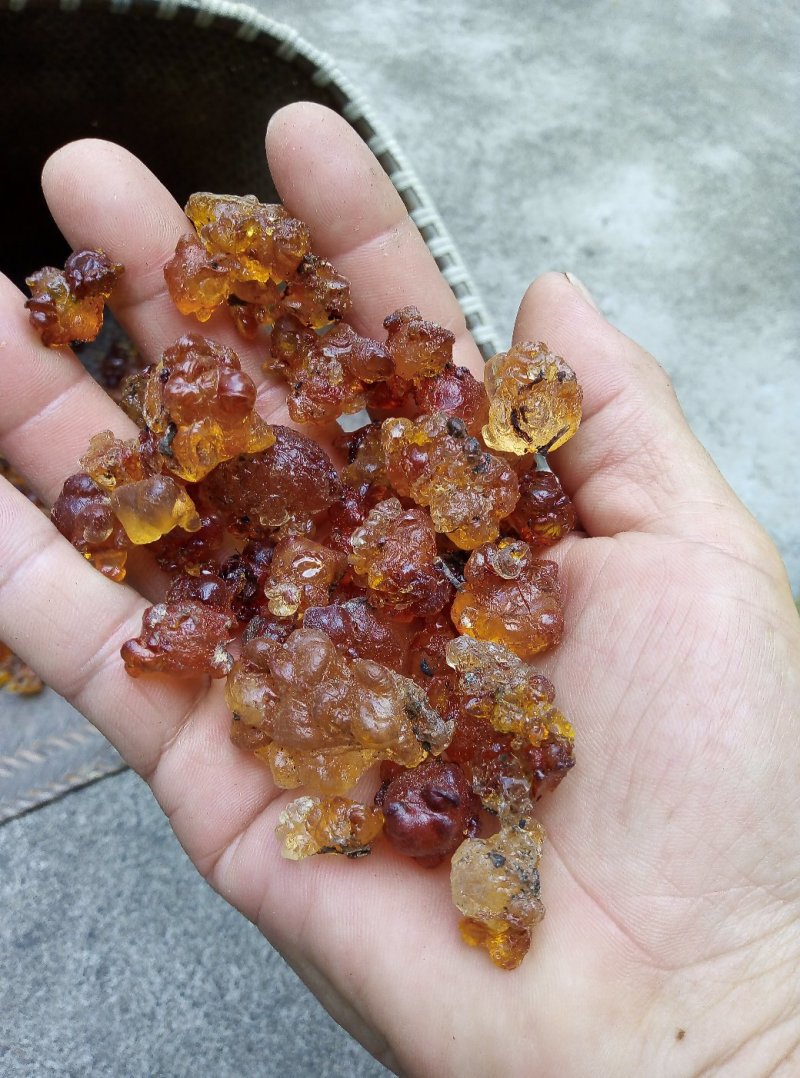 桃胶