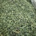 桑叶茶颗粒茶颜色好，无任何添加量大从优，做的是质量。
