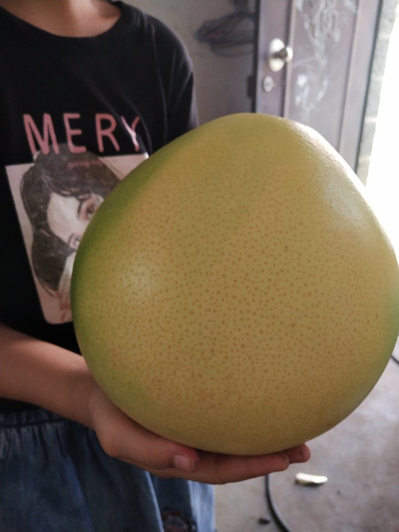 老树三红蜜柚