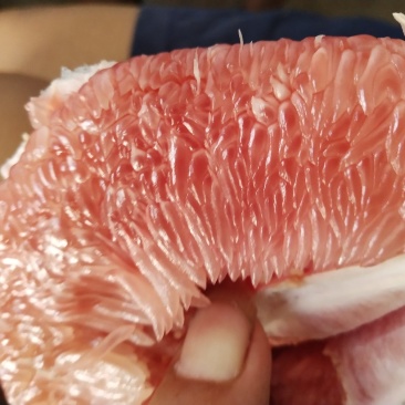 老树三红蜜柚