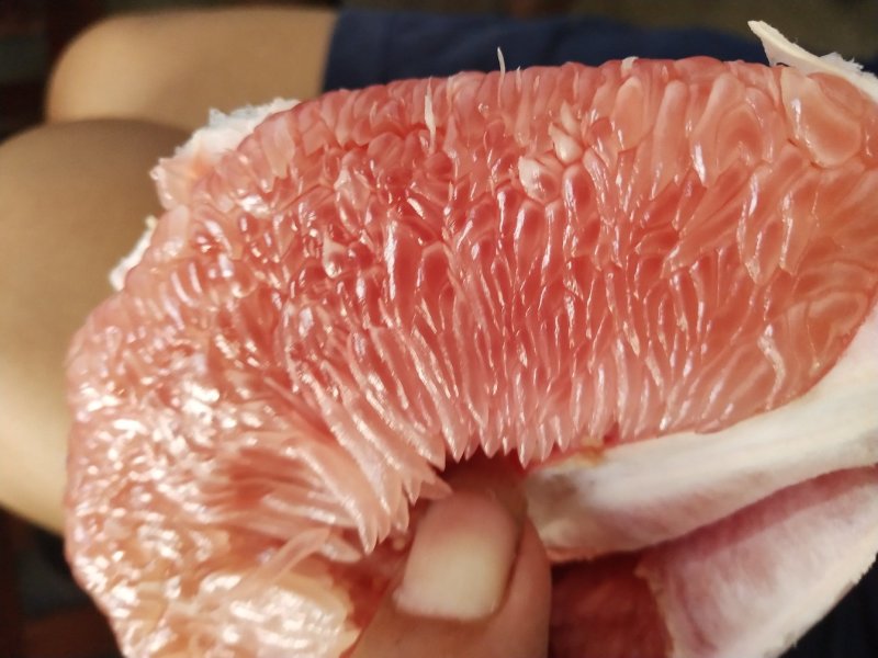 老树三红蜜柚