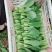 常年出售精品小青菜
