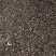 【舜波中药材】桑叶茶量大从优