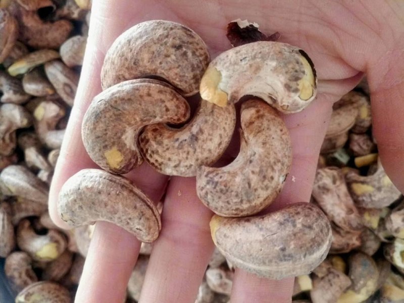 碳烤特级大腰果，一件两桶，每桶净含量20斤，2斤起发货