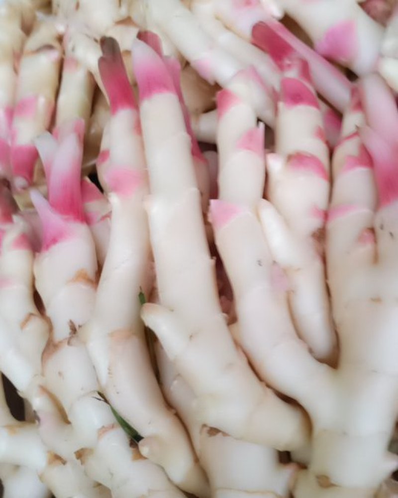 生姜