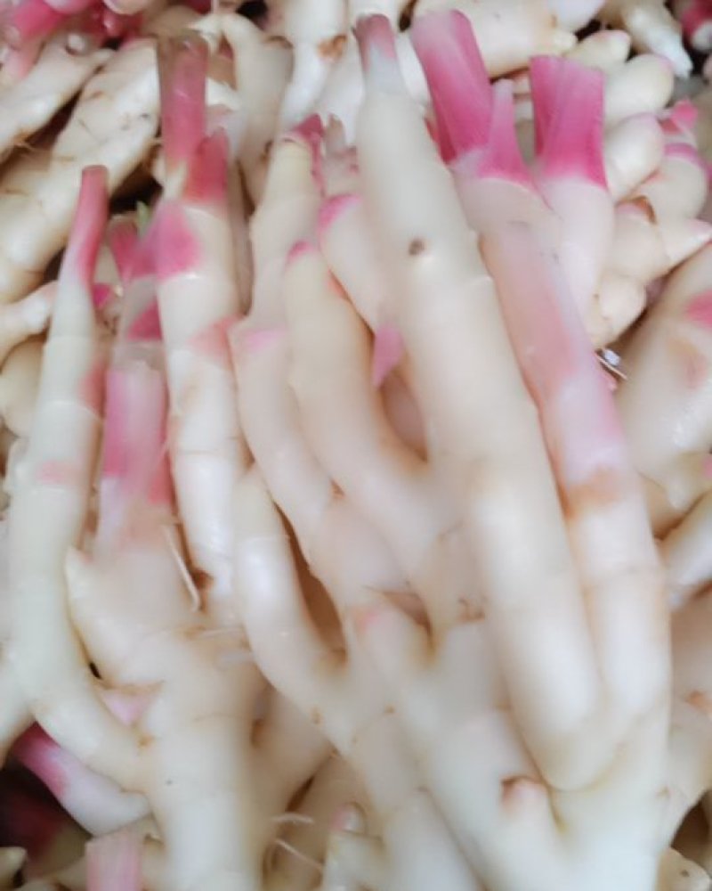 生姜
