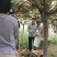 猕猴桃
