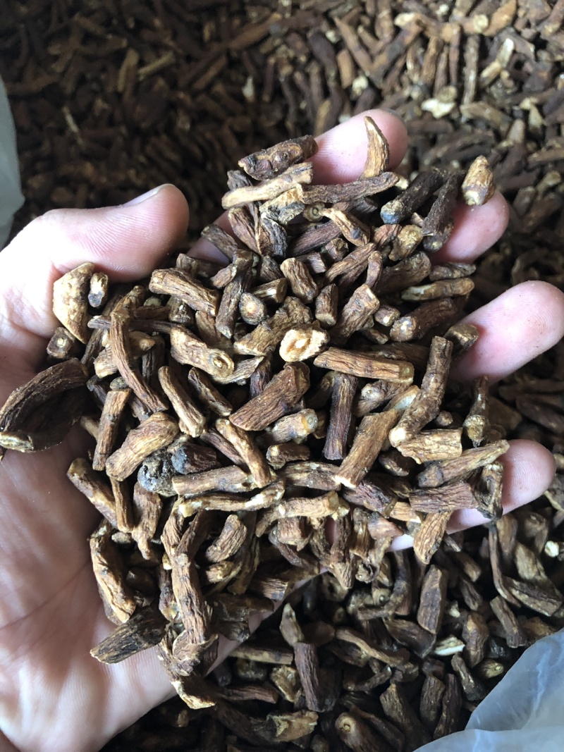 【舜波中药材】蒲公英根量大从优统