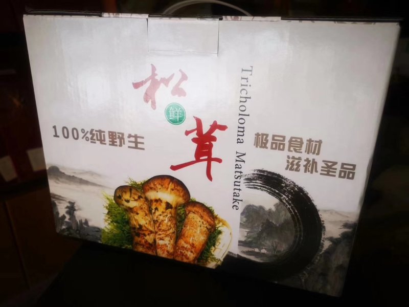 【顺丰包邮】松茸新鲜东北长白山一公斤礼盒