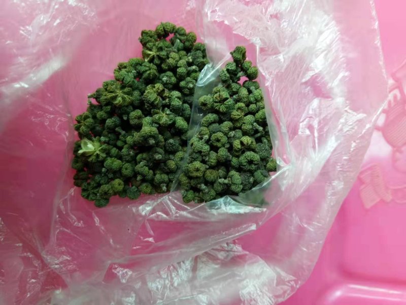 吴茱萸