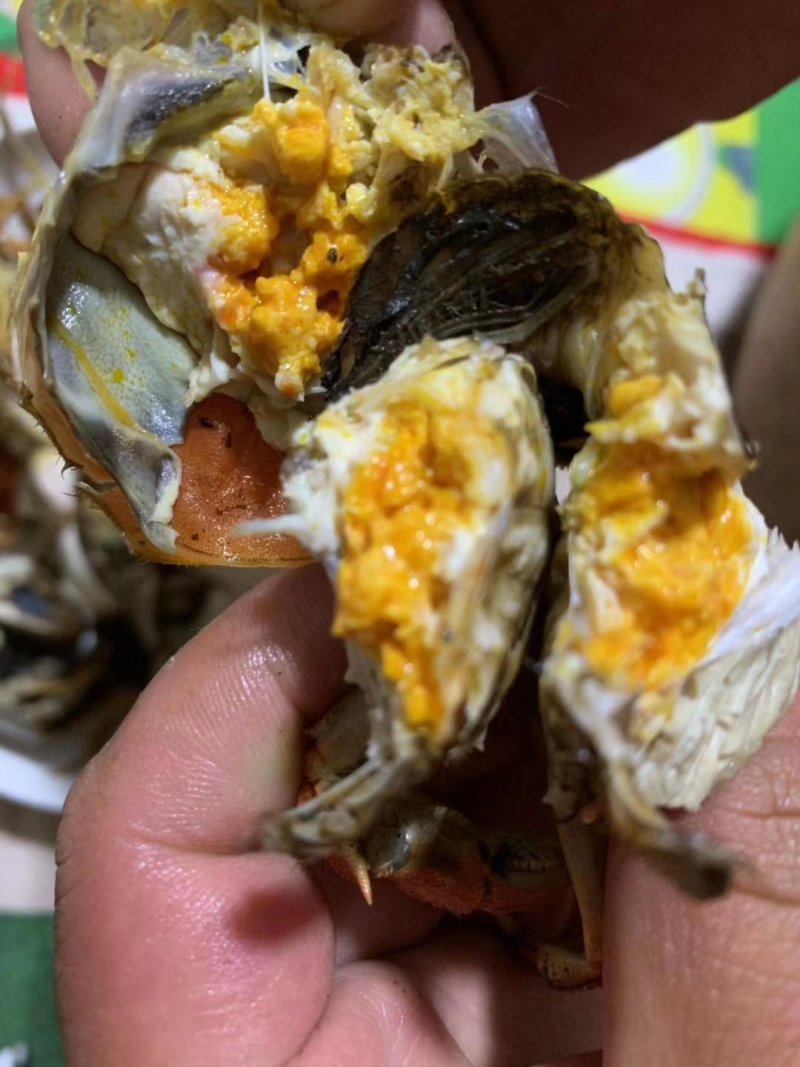 盘锦稻田河蟹大量下货，需要联系我，纯稻田河蟹