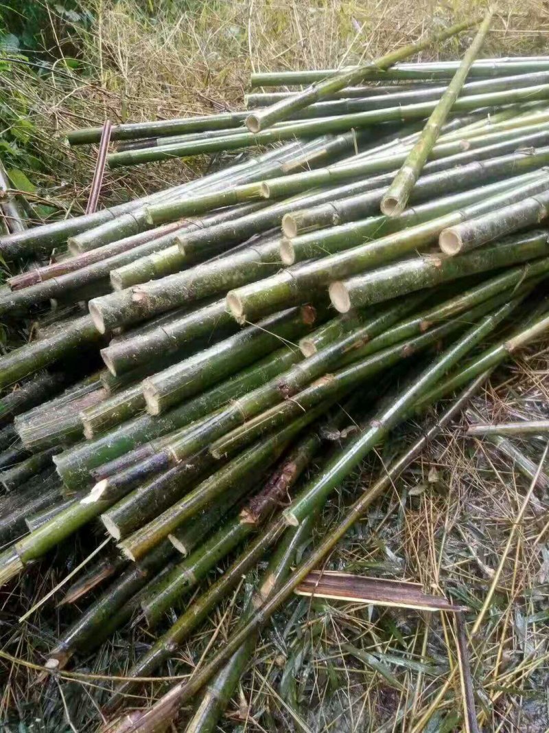 出售果树瓜棚房屋建筑排山竹竿