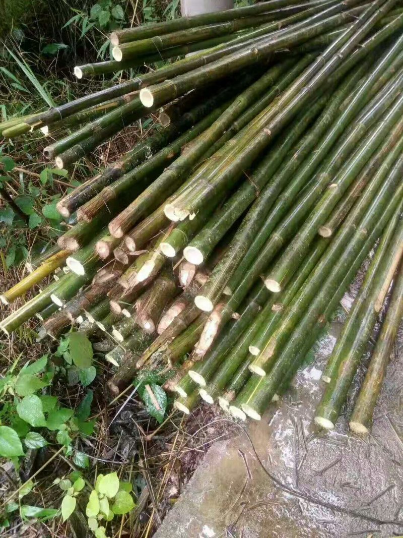 出售果树瓜棚房屋建筑排山竹竿