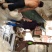 豆腐渣是养殖场选饲料，发酵之后会更好喂养，更便民。
