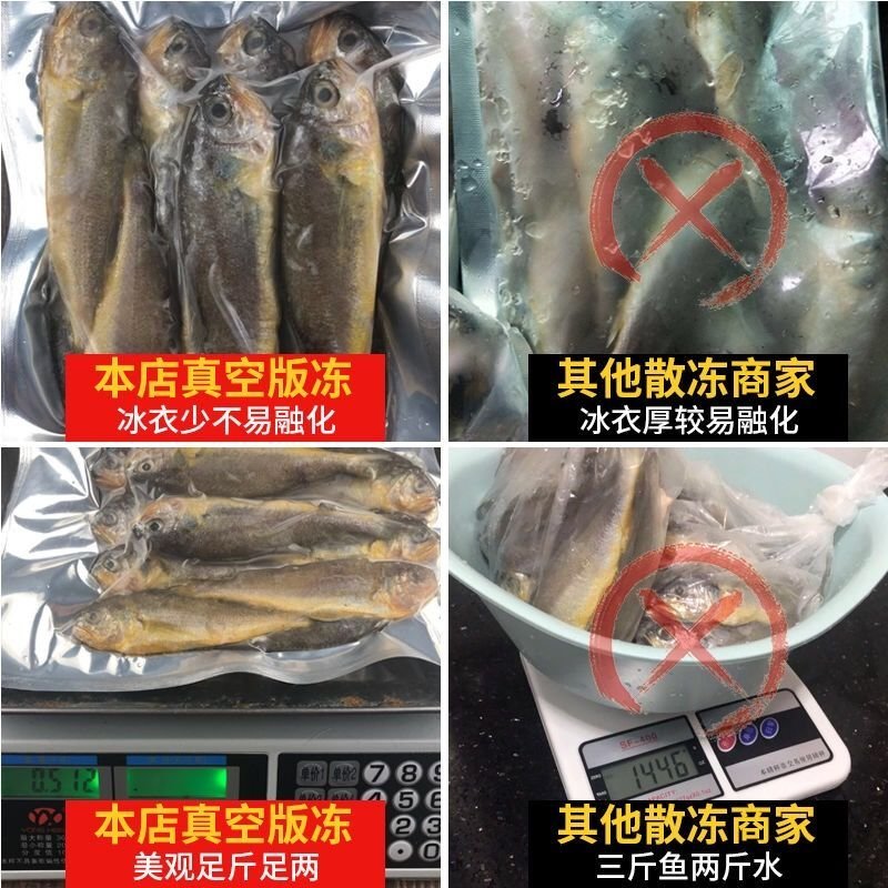 【坏单包赔】5斤黄花鱼生海捕小黄鱼新鲜海鲜鲜活海鱼类3
