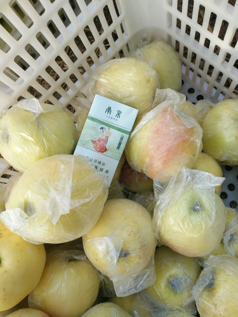 红露苹果片红3两以上甜脆微酸