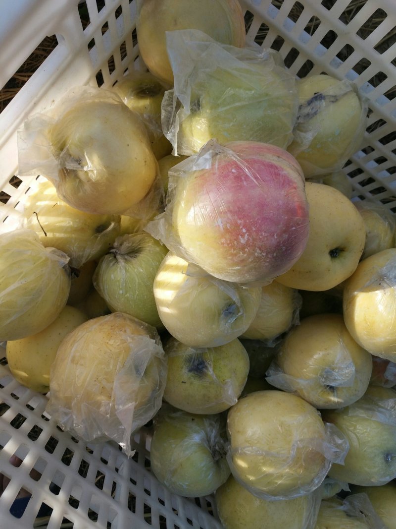 红露苹果片红3两以上甜脆微酸