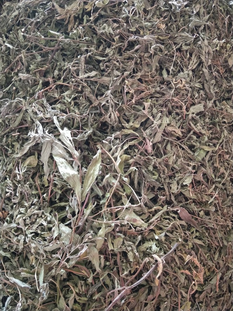 旱莲草，产地直供，一手货源，欢迎大家来电咨询