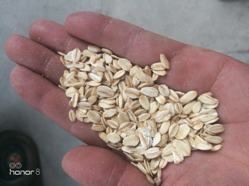 燕麦片！所有商品不包邮！货物需要自提