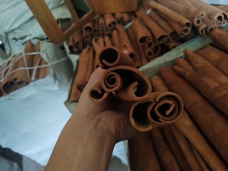 桂皮产地直供价格优惠