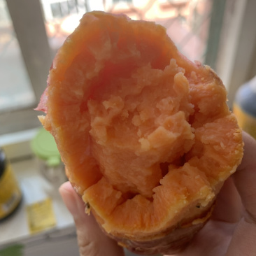 红薯